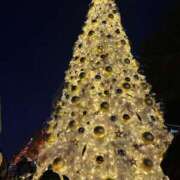 ヒメ日記 2025/12/11 22:01 投稿 みお 横浜風俗 横浜いきなりビンビン伝説