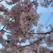 ヒメ日記 2026/03/27 12:06 投稿 みお 横浜風俗 横浜いきなりビンビン伝説