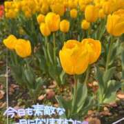 ヒメ日記 2026/04/05 08:33 投稿 みお 横浜風俗 横浜いきなりビンビン伝説