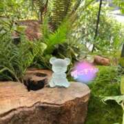 ヒメ日記 2026/04/12 08:41 投稿 みお 横浜風俗 横浜いきなりビンビン伝説