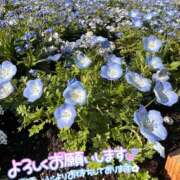 ヒメ日記 2026/04/15 13:34 投稿 みお 横浜風俗 横浜いきなりビンビン伝説