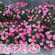 ヒメ日記 2026/05/12 21:31 投稿 みお 横浜風俗 横浜いきなりビンビン伝説