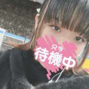 ヒメ日記 2025/02/16 06:38 投稿 きら とある風俗店♡やりすぎさーくる新宿大久保店♡で色んな無料オプションしてみました