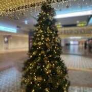 ヒメ日記 2024/12/11 11:57 投稿 ふわり マリン池袋北口駅前店