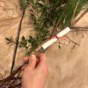 ヒメ日記 2024/12/28 17:48 投稿 新居 陽菜子 白夜