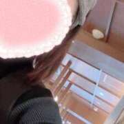 ヒメ日記 2024/12/30 14:19 投稿 新居 陽菜子 白夜