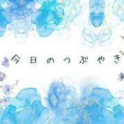 ヒメ日記 2025/05/24 12:35 投稿 新居 陽菜子 白夜