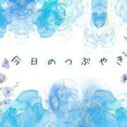 ヒメ日記 2025/06/05 12:14 投稿 新居 陽菜子 白夜