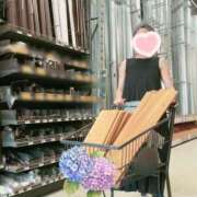 ヒメ日記 2025/06/05 15:15 投稿 新居 陽菜子 白夜