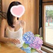 ヒメ日記 2025/06/07 15:45 投稿 新居 陽菜子 白夜