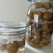 ヒメ日記 2025/07/02 15:15 投稿 新居 陽菜子 白夜