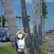 ヒメ日記 2025/08/02 10:59 投稿 新居 陽菜子 白夜