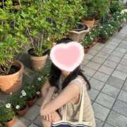 ヒメ日記 2025/08/04 15:15 投稿 新居 陽菜子 白夜