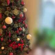 新居 陽菜子 毎日眺めているもの 白夜