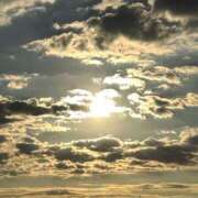 ヒメ日記 2025/12/09 08:16 投稿 新居 陽菜子 白夜