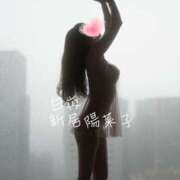 ヒメ日記 2025/12/17 14:03 投稿 新居 陽菜子 白夜