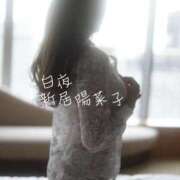 ヒメ日記 2025/12/19 09:27 投稿 新居 陽菜子 白夜