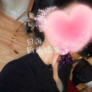 ヒメ日記 2026/01/12 11:01 投稿 新居 陽菜子 白夜