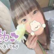 ヒメ日記 2024/12/14 11:31 投稿 なないろ 水戸人妻花壇