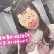 ヒメ日記 2025/02/20 15:49 投稿 なないろ 水戸人妻花壇