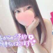 ヒメ日記 2025/07/30 12:18 投稿 なないろ 水戸人妻花壇