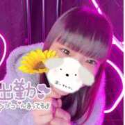 ヒメ日記 2025/08/02 14:47 投稿 なないろ 水戸人妻花壇