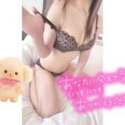 ヒメ日記 2025/09/29 14:54 投稿 なないろ 水戸人妻花壇