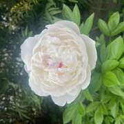 ヒメ日記 2025/05/05 00:11 投稿 君島(きみしま） Ageha（あげは）