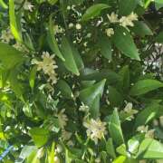 君島(きみしま） (^.^) Ageha（あげは）