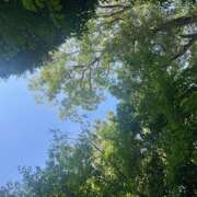 ヒメ日記 2025/09/24 16:55 投稿 君島(きみしま） Ageha（あげは）