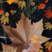 ヒメ日記 2024/12/22 15:38 投稿 ゆうか リアル 日本橋店