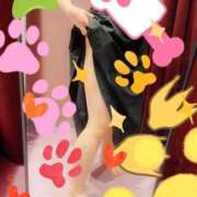 ヒメ日記 2025/05/03 09:38 投稿 ゆうか リアル 日本橋店