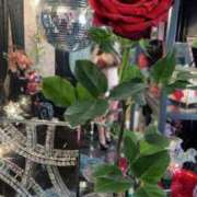 ヒメ日記 2025/06/29 09:48 投稿 ゆうか リアル 日本橋店