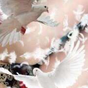 ヒメ日記 2025/08/10 09:38 投稿 ゆうか リアル 日本橋店