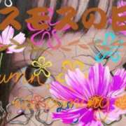 ヒメ日記 2025/09/14 09:38 投稿 ゆうか リアル 日本橋店