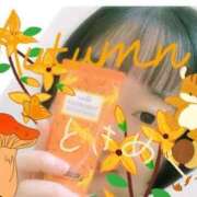 ヒメ日記 2025/11/29 09:38 投稿 ゆうか リアル 日本橋店