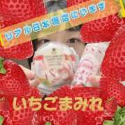 ヒメ日記 2026/01/17 17:21 投稿 ゆうか リアル 日本橋店