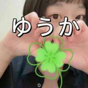 ヒメ日記 2026/03/28 09:08 投稿 ゆうか リアル 日本橋店