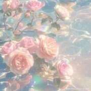 ヒメ日記 2024/12/14 16:22 投稿 なの CLUB DEEP 博多