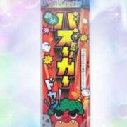 ヒメ日記 2025/01/26 10:45 投稿 片桐 ゆかり 神戸RED DRAGON