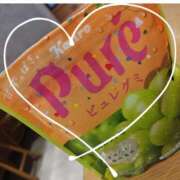 ヒメ日記 2025/01/27 08:30 投稿 片桐 ゆかり 神戸RED DRAGON