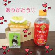 ヒメ日記 2025/02/02 00:57 投稿 片桐 ゆかり 神戸RED DRAGON