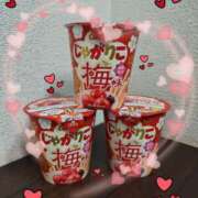 ヒメ日記 2025/02/21 15:30 投稿 片桐 ゆかり 神戸RED DRAGON