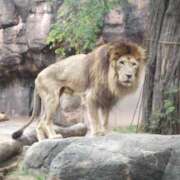 ヒメ日記 2025/02/25 09:26 投稿 片桐 ゆかり 神戸RED DRAGON