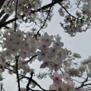 ヒメ日記 2025/04/01 20:30 投稿 片桐 ゆかり 神戸RED DRAGON