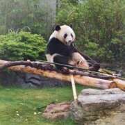 ヒメ日記 2025/06/29 19:30 投稿 片桐 ゆかり 神戸RED DRAGON