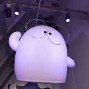 ヒメ日記 2025/08/14 17:00 投稿 片桐 ゆかり 神戸RED DRAGON