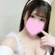 ヒメ日記 2025/05/03 11:36 投稿 ぴあの 恋するバニー