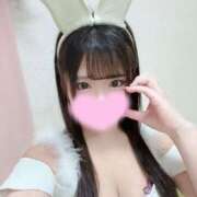 ヒメ日記 2025/06/08 18:07 投稿 ぴあの 恋するバニー