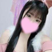 ヒメ日記 2025/06/28 15:06 投稿 ぴあの 恋するバニー